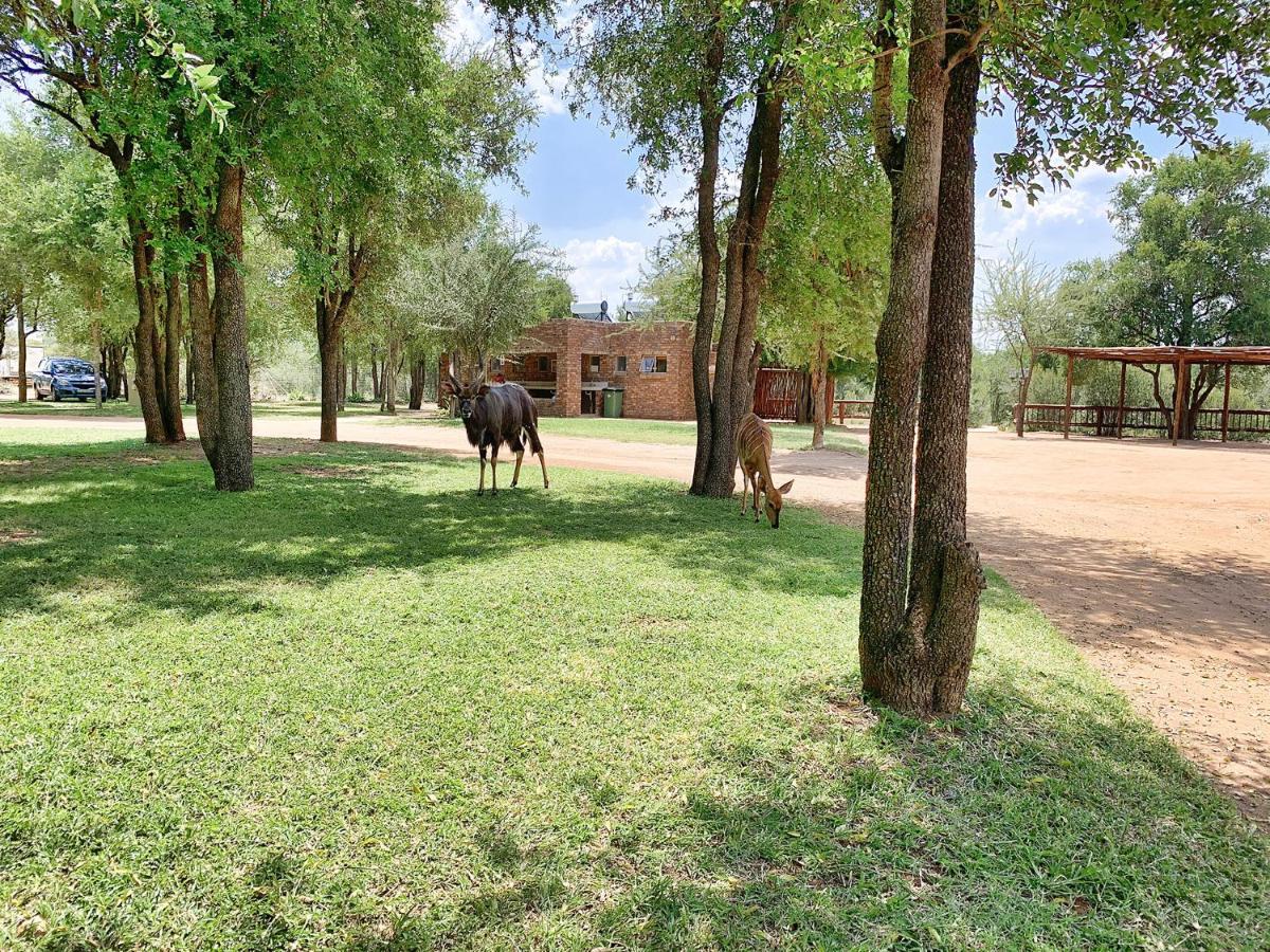 Tshikwalo Game Lodge Klipdrift Exteriér fotografie