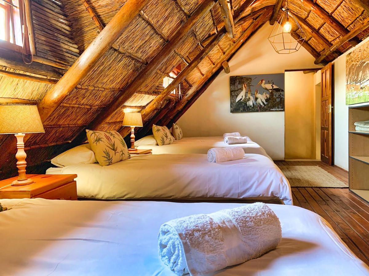 Tshikwalo Game Lodge Klipdrift Exteriér fotografie